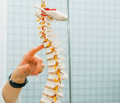Spinal Osteoarthritis