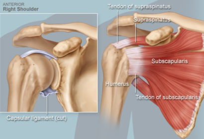 Torn Rotator Cuff Injury Symptoms & Treatment | AllSpine